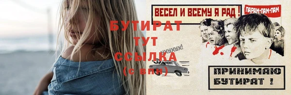 apvp Бородино