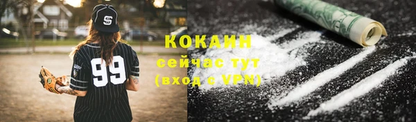 apvp Бородино