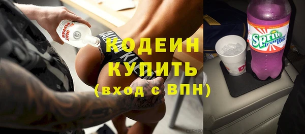 apvp Бородино