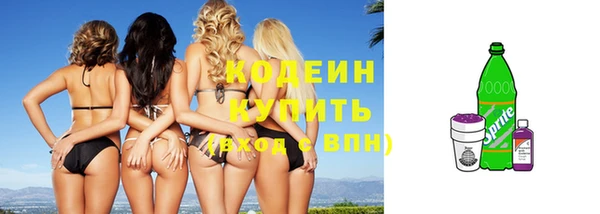 apvp Бородино