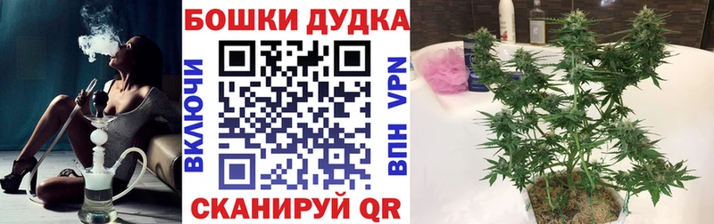 Конопля план маркетплейс формула Наволоки